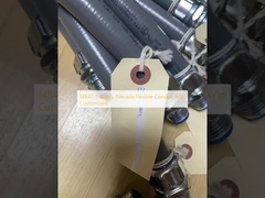 14847-5 अनुकूलित के साथ बेंटली नेवादा लचीला नलिका