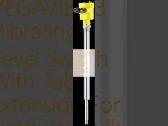 VB63.XXAGDRKMX VEGAVIB 63 दानेदार थोक ठोस पदार्थों के लिए ट्यूब एक्सटेंशन के साथ कंपन स्तर स्विच