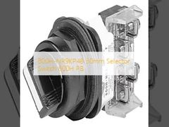 800H-NR9KP4B 30mm चयनकर्ता स्विच 800H PB